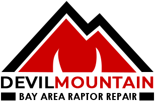 Devil Mountain Raptor Repair - logo