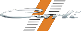 Logo Of Carli
